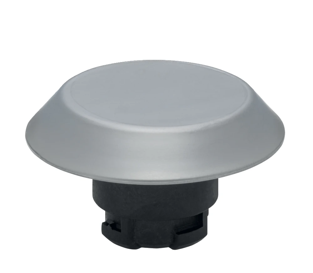 Schmersal 101161887 End switch