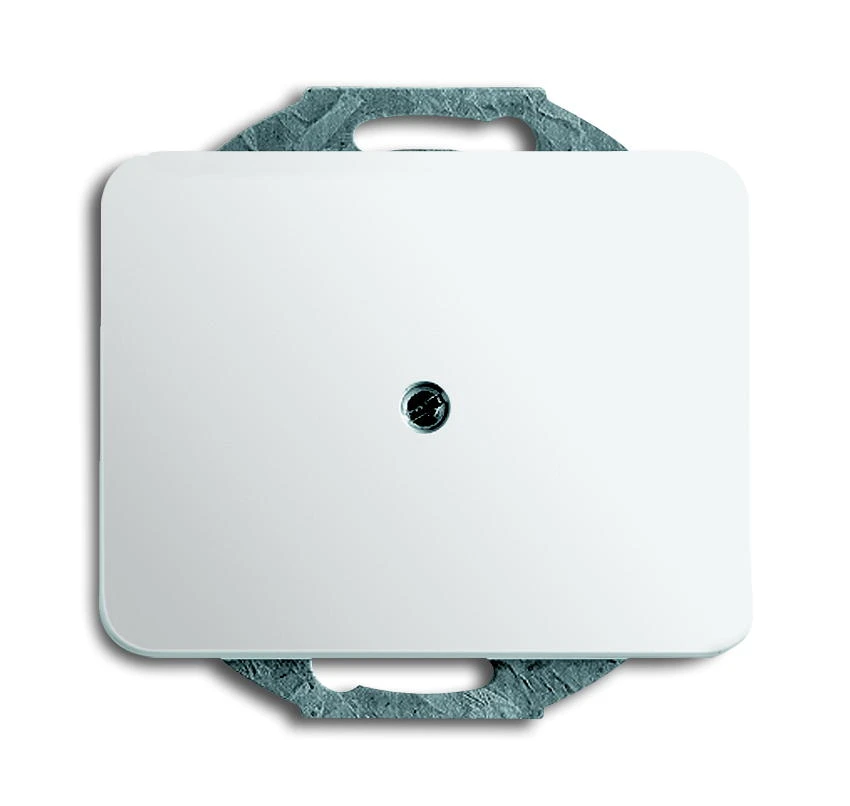 ABB Busch-Jaeger 2CKA001710A1209 Onderdeel/centraalplaat communicatie-schakelmateriaal