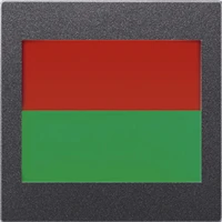 Jung AL2539-2ANLEDRG Information light signal for domestic switching devices