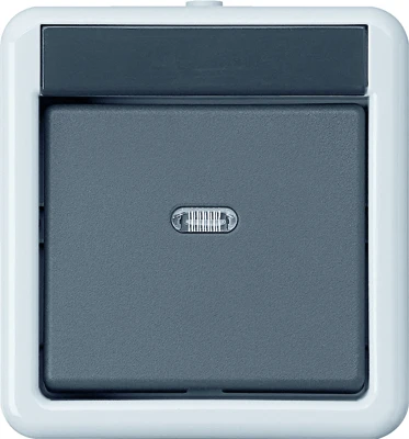 Gira 515130 Bus coupler for bus system